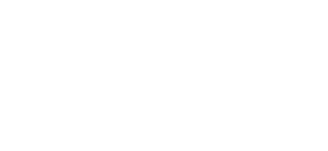 LSI Workshop Logo in white